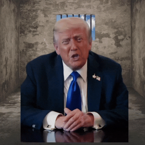 Donald Trump Potus GIF by Respective