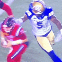 Montreal Helmet GIF