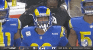Regular Season Football GIF by NFL