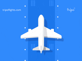 Fly Flights GIF by tripo