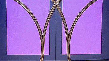 Wendy Williams Thread GIF