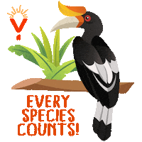 Activism Rays Sticker by RAINFOREST YOUTH SUMMIT