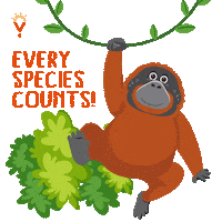 Activism Rays Sticker by RAINFOREST YOUTH SUMMIT