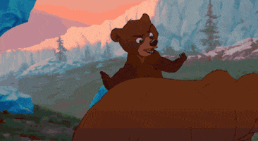 walt disney animation studios bear GIF by Disney