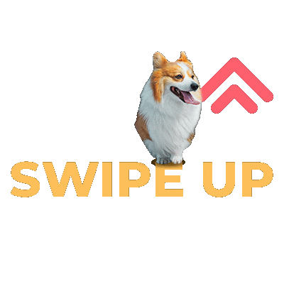 soyfanimal giphyupload dog swipe up mascota Sticker