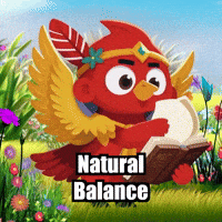 Natural Balance Wisdom GIF by The Cardinal Virtue
