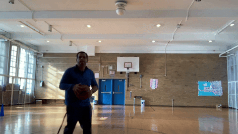 hambelathome  GIF