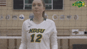 Volleyball Bison GIF by NDSU Athletics