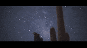 GIF by Century Media Records