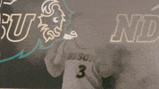 Ndsu Basketball GIF by NDSU Athletics