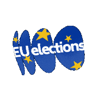 schwarzkopf-stiftung vote eu elections euelections Sticker