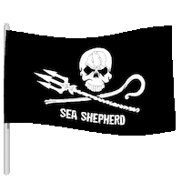 Ocean Protect Sticker by Sea Shepherd