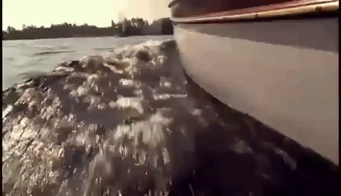 new hampshire GIF