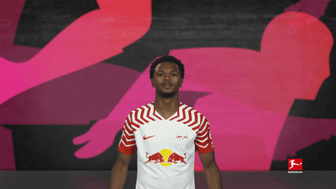 Rb Leipzig Football GIF by Bundesliga
