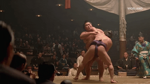 japan wrestling GIF by THE WRESTLERS