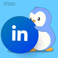 Connects Social Media GIF by Pudgy Penguins