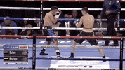 Espn Fighting GIF by Top Rank Boxing