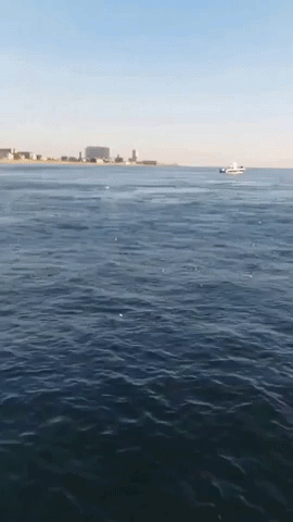 Breaching Whale Surprises New Jersey Fishermen