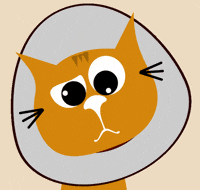 Blinking Big Eyes GIF