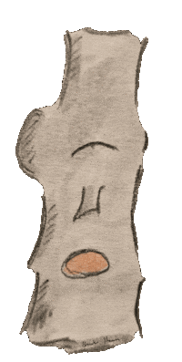 Brooks Hauser Brookzhookz Sticker