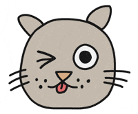 Cat Wink GIF by Thank You Coffee