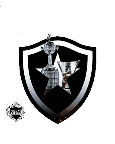 Futebol Libertadores Sticker