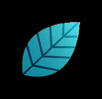 trentofilmfestival trentofilmfestival tff2020 festivaldimontagna GIF