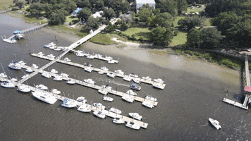 Hilton Head Freeport GIF by Tap The Table