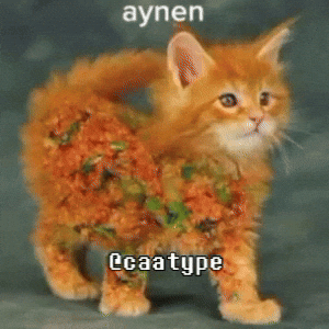 Cat Aynen GIF