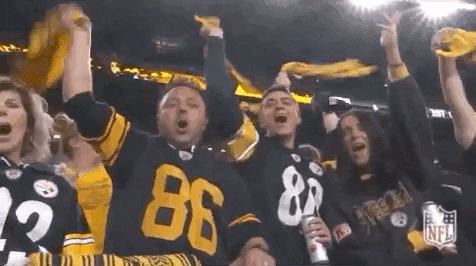 Regular Season Football GIF by NFL
