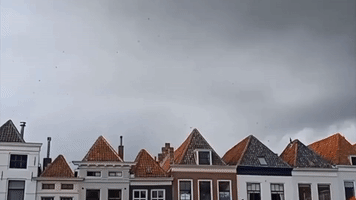 Winds Whip Through Dutch City Square as Deadly Tornado Hits
