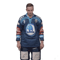 Hockey Swipe Up Sticker by HC Škoda Plzeň
