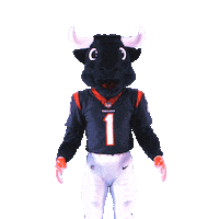 Shocked Football Sticker by Houston Texans