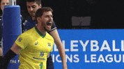 Joy Celebrate GIF by Volleyball World