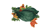 lux_ lux luxbotanicals essenciasdobrasil Sticker