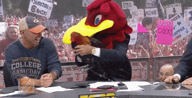 South Carolina Gamecocks GIF by College GameDay