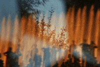 night people GIF by Blanca Viñas