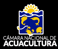 cna_ecuador shrimp cna camaron aquaexpo GIF