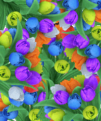 Art Love GIF by Tsarevny