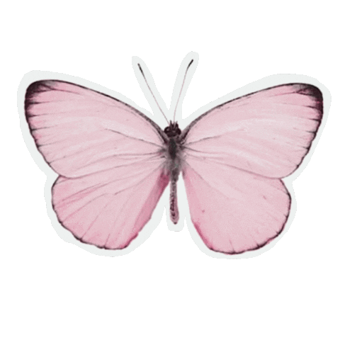 Sdesignworks rainbow fly free flying Sticker