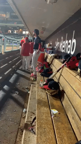 cody reed baseball GIF by Louisville Bats