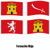 Castilla Y Leon Bandera GIF by Formación Ninja