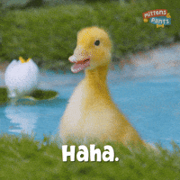 Laugh Lol GIF by Mittens & Pants