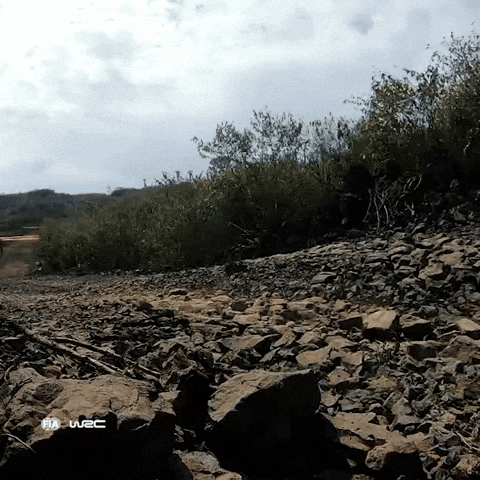 Rock On Jump GIF by FIA World Rally Championship