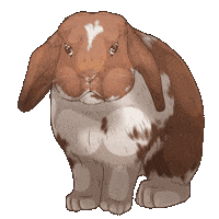 Lapin Sticker