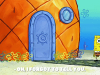 season 8 episode 3 GIF by SpongeBob SquarePants