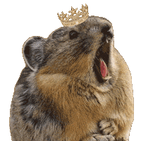 Roar Yelling Sticker
