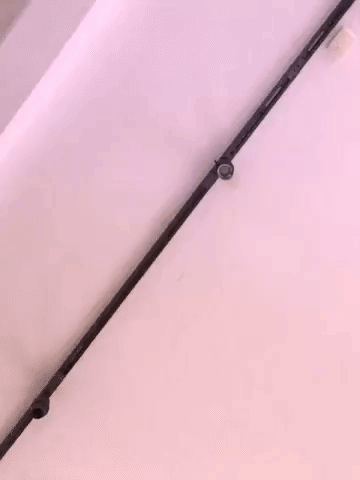 framebeta GIF