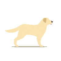 Tail Happy Dog Sticker by KWS Group