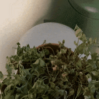 Trash Throw Away GIF by GreenMeUp